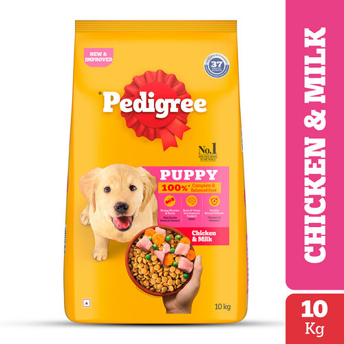 pedigree puppy available in pet store