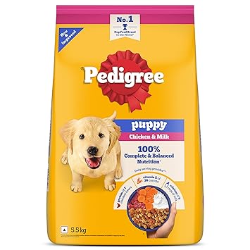 pedigree puppy available in pet store