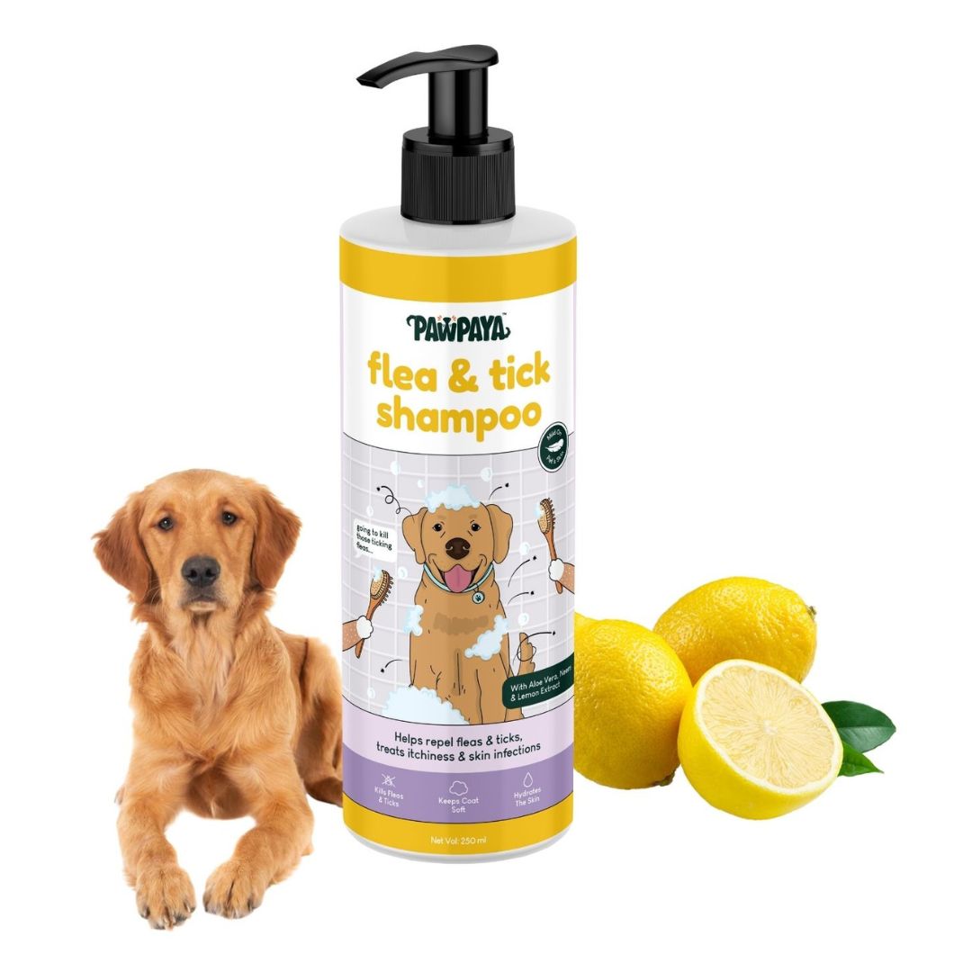 tick & flea shampoo available in pet store