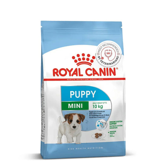 royal canin mini starter available in pet store